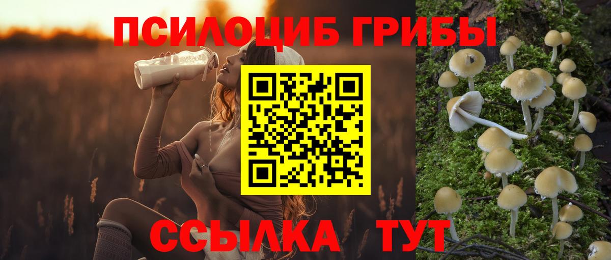 Грозный  Галлюциногенные грибы Psilocybine cubensis  Галлюциногенные грибы мицелий  закладка  Вход с VPN 